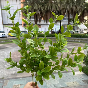 Оптовая продажа, новый дизайн TH386, искусственные зеленые листья самшита, растения для домашнего декора - Product Image 3