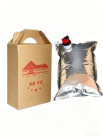 Sacs Aseptiques Portables avec Bec Verseur, Imprimés par Gravure, Recyclables, 3L-20L, pour Jus de Fruits et Autres Produits Liquides