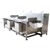 Dezoton Industriële Heteluchtbelletjeswasmachine voor Groenten en Fruit, voor Commerciële Voedselverwerking en Groothandel