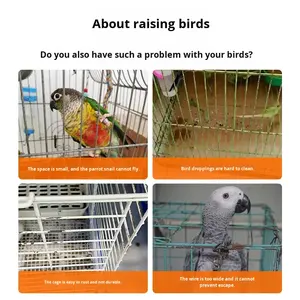 Motif solide grand Pigeon perroquet oiseau <span class=keywords><strong>Cage</strong></span> bouton Collection crypté caille canard <span class=keywords><strong>Cage</strong></span> pour ménage calopsitte inséparable boîte - Product Image 5