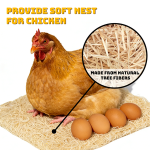 Almohadillas de Fibra de Madera Natural para Nidos de Gallinas, 13"x13", 1 Paquete – Forros para Cajas de Nido para Gallinas Ponedoras, Protección de Huevos - Product Image 6