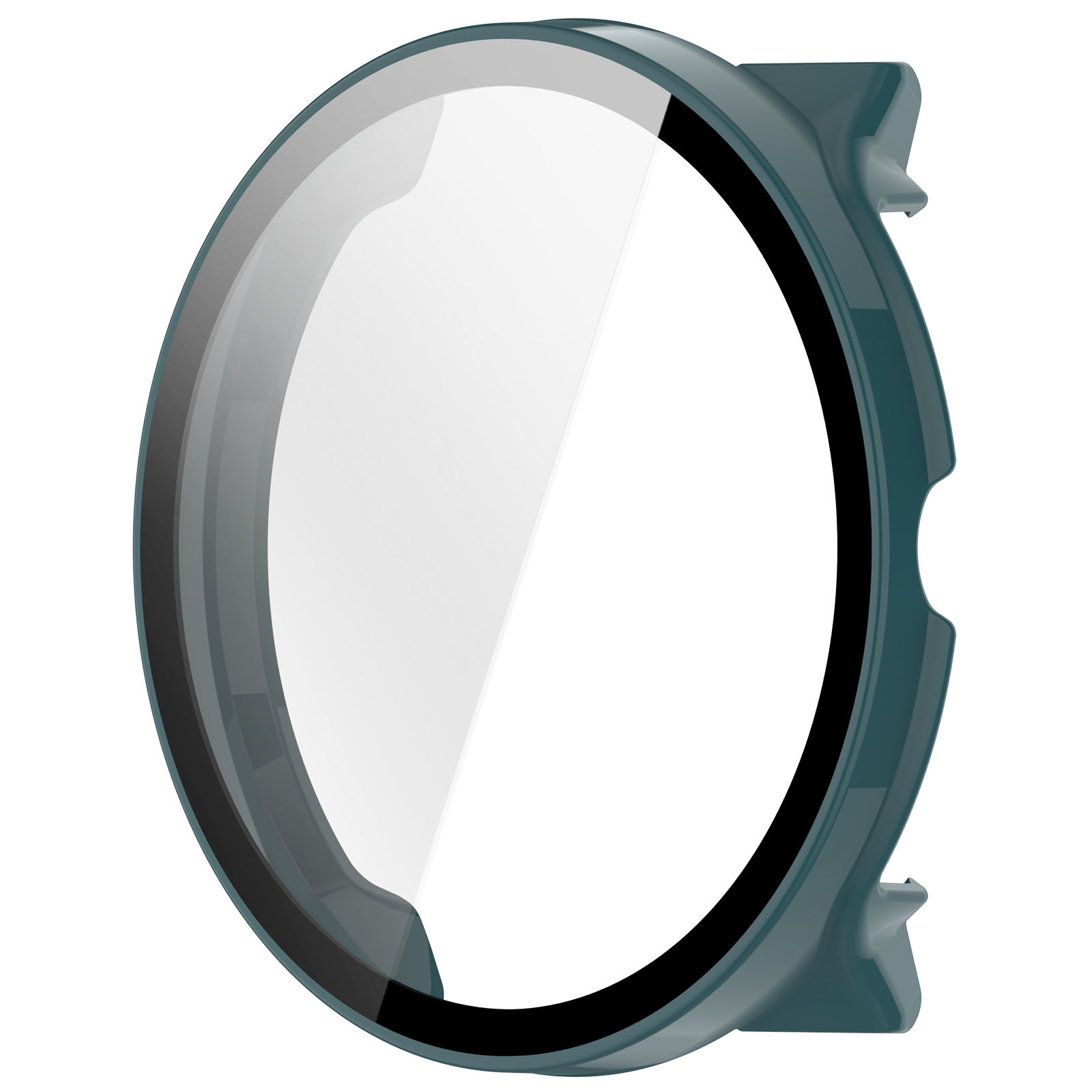 Aiguille de pin vert