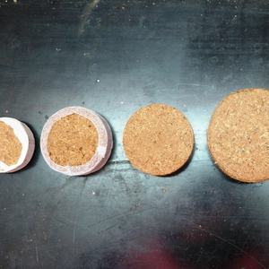 เม็ดมะพร้าวอัดแท่งขนาด 60 มม. สำหรับส่งออก - Product Image 4