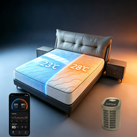 Kit de bien-être à domicile avec chambre à air douce et housse de matelas à circulation d'eau à double zone de température pour un sommeil de qualité