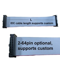 Cable Plano Denentech IDC de 2x10 Pines (20P) de 1.27mm con Conector Macho y Hembra para Cableado Electrónico