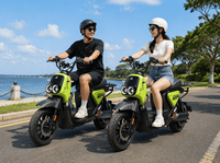 Nouveau Vélo Électrique à Deux Roues Conforme aux Normes Nationales pour Adultes – Vente Directe Usine, Approvisionnement Transfrontalier