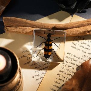 Artesanías de Resina Hechas a Mano, Especímenes de Insectos Encapsulados en Bloques de Resina, Pisapapeles con Forma de Avispa, Los Mejores Regalos para que los Niños Observen <span class=keywords><strong>la</strong></span> Naturaleza en <span class=keywords><strong>la</strong></span> Escuela - Product Image 3