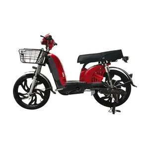 可定制22英寸电动自行车从中国制造商与800W电机