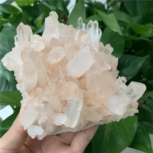 Wholesale prices rare natural clear quartz clusters rough gemstone reiki healing crystals flowers for home decoration