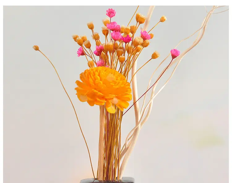 Getrocknete Blumen Lotusblume Holz blume für Haupt dekoration