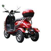 Tricycle électrique puissant : batterie 60V, frein à tambour, charge rapide