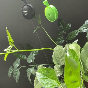 Support de <span class=keywords><strong>Yoyo</strong></span> de plante en spirale de tomate auto-serrant vert de tente de culture hydroponique - Product Image 4