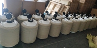 YDS-10 Dewar d'azote liquide 10L, réservoir d'azote cryogénique avec bidons et sac de transport