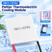 Module de refroidissement thermoélectrique Peltier TEC1-12702 12V 2A 30*30*3.5mm pour réfrigérateur de beauté et refroidisseur de téléphone