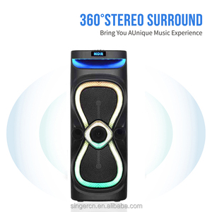 Altavoz de Karaoke NDR-X920 con 2 Micrófonos, Altavoz PA Dual de 10 Pulgadas, Sistema de Sonido Estéreo HIFI, Altavoz con Ruedas para Fiestas - Product Image 2