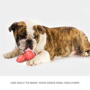 Doggy Lick Food Spielzeug Hund Keks Kauen Treats Stick Hunde Zähne Reinigung Molar Tools - Product Image 5