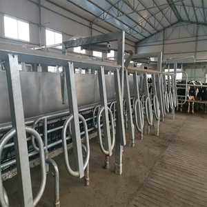 Grande machine à traire automatique électrique <span class=keywords><strong>de</strong></span> vache <span class=keywords><strong>de</strong></span> laiterie <span class=keywords><strong>de</strong></span> la meilleure chevrons avec le <span class=keywords><strong>prix</strong></span> à vendre - Product Image 4