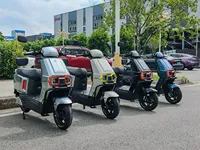 Moto électrique à succès 1000-2000W, cyclomoteur électrique 60V/72V