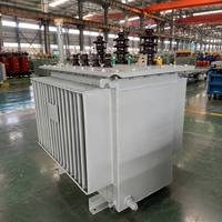 Solución EPC Profesional S11, Transformador de Potencia Sumergido en Aceite con Bobinado de Cobre, 11kv, 33kv, 1000kva, 1600kva, 3 MVA, 10 MVA