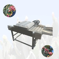 Hete Verkoop Stekelige Peer Doorn Verwijdering Machine Nopal Fruit Dethorning Machine Cactus Dethorning Machine