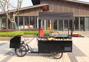 Triciclo Eléctrico de 3 Ruedas Personalizado para Venta de Comida, Bicicleta Móvil para Café, Carrito de Comida Callejera con Refrigerador, Kiosco de Catering para <span class=keywords><strong>Europa</strong></span> y EE. UU. - Product Image 2