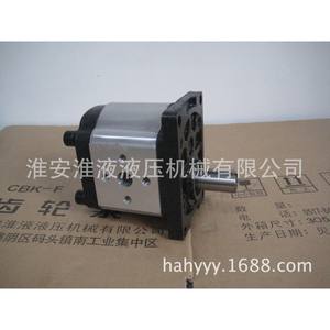 CBTt-F304/306/310F3P7 <b>Hydraulics</b> Gear <b>Pump</b> - Product Image 1