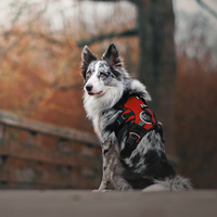 Sac à dos pour chien Truelove, imperméable, anti-évasion, grand format, multi-poches, avec harnais et poignée de sécurité multifonctionnelle