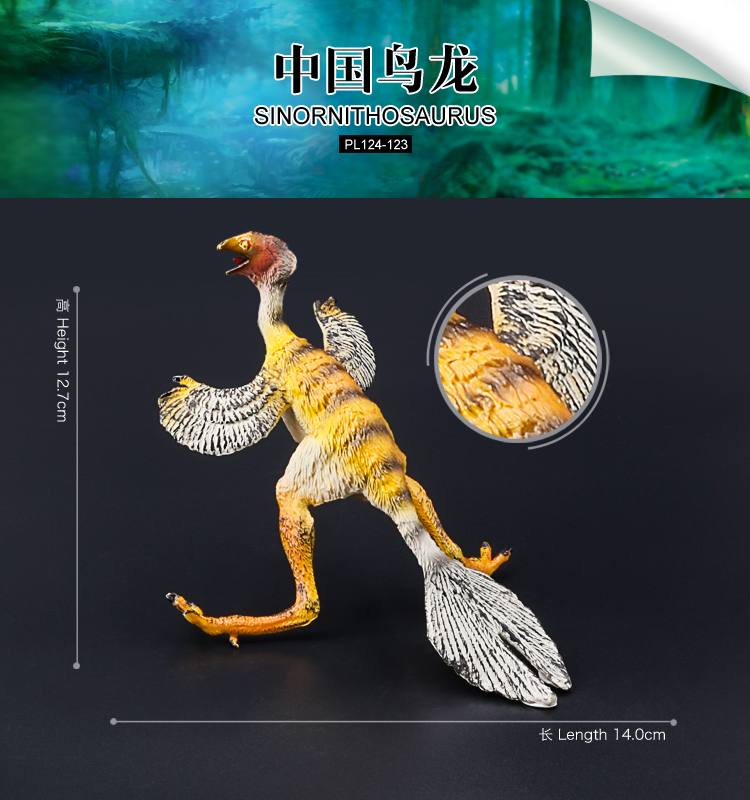 123 Sinornitosauro