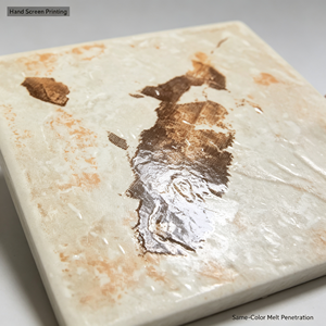 Piastrella Moderna con Stampa a Foglia ACCENTS 100x100mm, Piastrella da Parete in Ceramica Stampata a Mano con Motivo Botanico Scuro per Paraschizzi <span class=keywords><strong>Cucina</strong></span> - Product Image 2