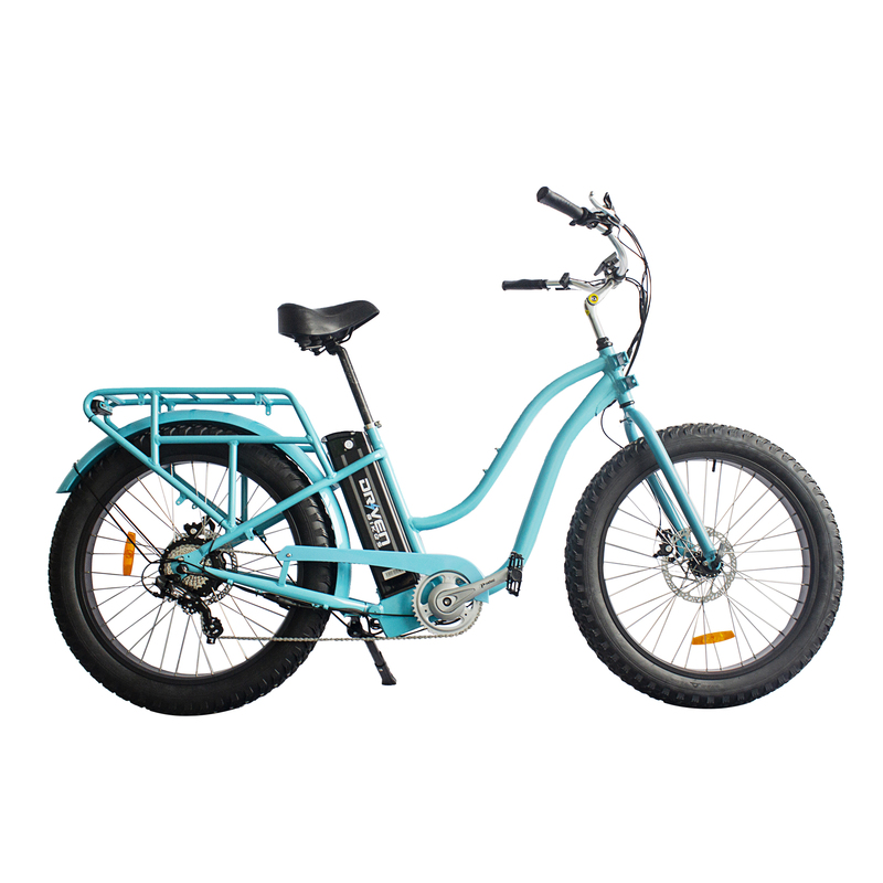 Factory Electric City Bike 48v Foldable