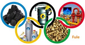 ड्रायर बर्नर धूल कलेक्टर कन्वेयर पेशेवर तकनीकी सहायता सहित पूर्ण बायोमास सुखाने प्रणाली - Product Image 2