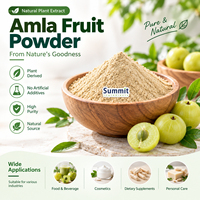 Wateroplosbaar Amla-bessenpoeder, natuurlijk Indiaas kruisbespoeder, voedingskwaliteit, voor dranken en drankmixen.