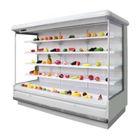 Koelvitrine voor groenten en fruit, open voorraad, commercieel, supermarkt, verse groenten