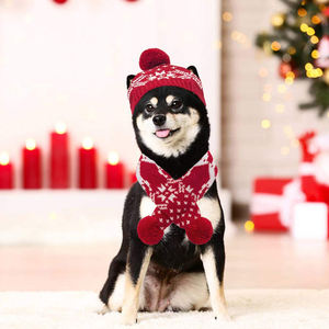 Hot Sale Hund Katze Weihnachts mütze Schal Set Kostüm Geschenk Winter Warme Mode Haustier Hund Zubehör - Product Image 1