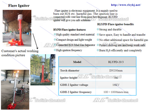 Dispositif d'allumage électronique de fluide de forage <span class=keywords><strong>YPD</strong></span> - 20/3 combustion de gaz nocifs équipement de contrôle des solides étanches à la pluie et au vent - Product Image 4