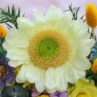 Lovebay Noël Fête des Mères Marguerite préservée Tournesol Chrysanthème éternel Tournesols éternels pour la décoration de la maison