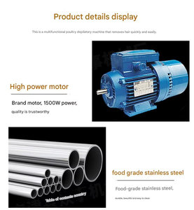 Depiladora de Aves de Corral, Pollos Pequeños y Codornices, Directo de Fábrica, Alta Calidad, Motor Automático con Rodamientos, Máquina de Depilación Fácil de Operar 2 - Product Image 4