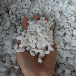 Đá Tự Nhiên Tuyết Trắng Pebble Cho Đường Dẫn Đường Lái Xe Được Làm Từ Đá Granit Đá Vôi Dolomite