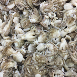 <span class=keywords><strong>Pulpo</strong></span> Congelado a <span class=keywords><strong>Precio</strong></span> Competitivo, Marisco Fresco Directo de Tailandia - Product Image 1