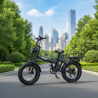Bicicleta Eléctrica de Nieve con Neumáticos Gruesos de 20 Pulgadas, Motor de 250W/500W, Frenos de Disco, Batería de Litio Extraíble y Portaequipajes, Venta al Por Mayor de Fábrica
