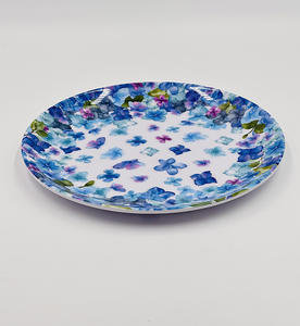 Juegos <span class=keywords><strong>de</strong></span> Platos <span class=keywords><strong>de</strong></span> Melamina para Comer al Aire Libre con Platos para Ensalada <span class=keywords><strong>de</strong></span> 8 Pulgadas y Platos para Cena <span class=keywords><strong>de</strong></span> 10 Pulgadas - Product Image 3