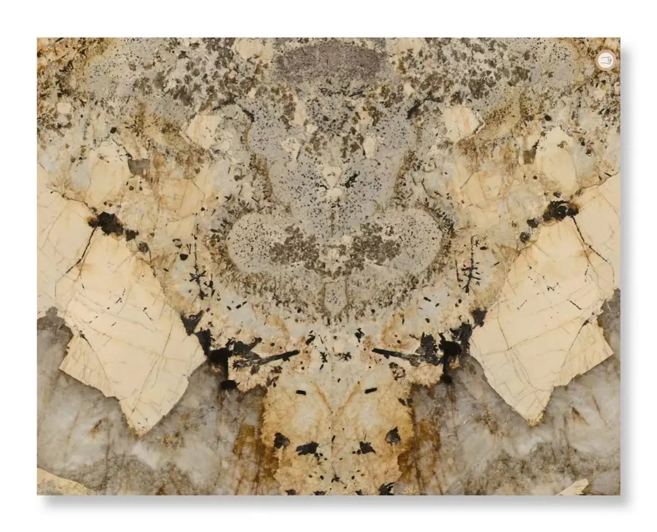Patagonia Book Match Polish Putih Granit Lempengan Ubin Lantai Quartzite