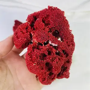 批发天然优质红花水晶珊瑚石雕刻灵气水晶珊瑚家居装饰