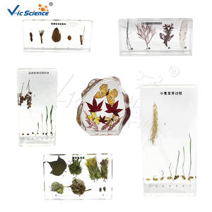 <span class=keywords><strong>Piedra</strong></span> Natural de cinabrio, mineral de cristal puro - Product Image 3