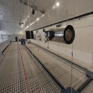 New Small Capacity Henhouse Coop Farm <strong>Chicken</strong> Poultry Layer Broiler Breeder Farming <strong>Raising</strong> Growing <strong>Feed</strong> Chain Equipment System - Product Image 5