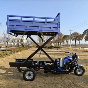 Tricycle motorisé chinois bleu à 3 roues, 4 temps, 350 CC, pour la cueillette de fruits - Product Image 4