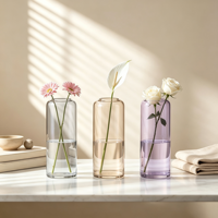 Vase en verre hydroponique cylindrique à petite ouverture, transparent, durable, artistique, fait main, pour décoration de mariage moderne et de maison