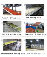 Maniokverwerkingsmachines Gaasbanddroger Fruit Groenten Drogen Fruit Groenten Voedsel Dehydrator Doorlopende Droger
