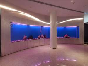 <span class=keywords><strong>Aquarium</strong></span> naturel en fibre de verre, grand réservoir de poissons, récif corallien, avec fenêtres, fournitures murales - Product Image 3