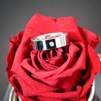 Bague en Zircon Circulaire Vintage Étanche, Plaqué Or 18K, en Acier Inoxydable Massif, pour Mariage, Fiançailles, Cadeau